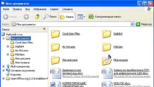 Рабочее окно проводника Internet Explorer Развитие проводника Windows